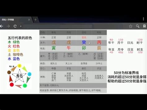 硨磲 五行|【硨磲 五行】硨磲之五行奧秘：補五行、助運勢，必備珍寶